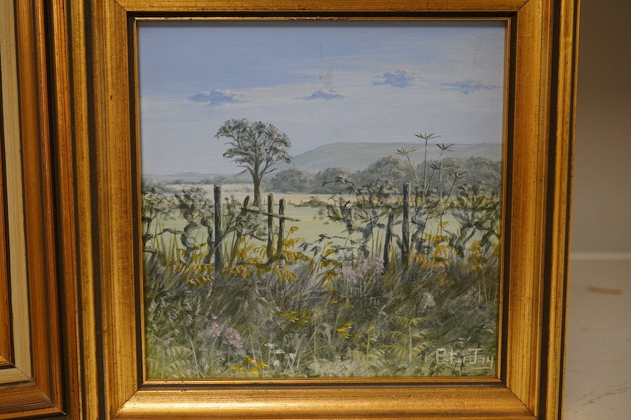 Peter Jay (b.1936), two oils on board, including ‘Stile on the South Downs’, each signed, 19.5 x 19.5cm, gilt framed. Condition - good